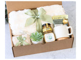 Cozy Neutral (Honey)